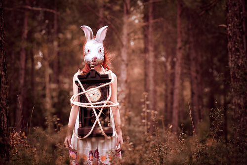 Wonderland