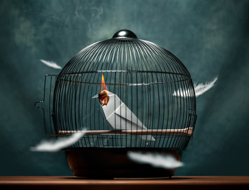 Prisoner