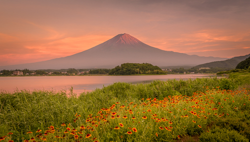 Fuji Glory