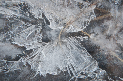 Ice Magic