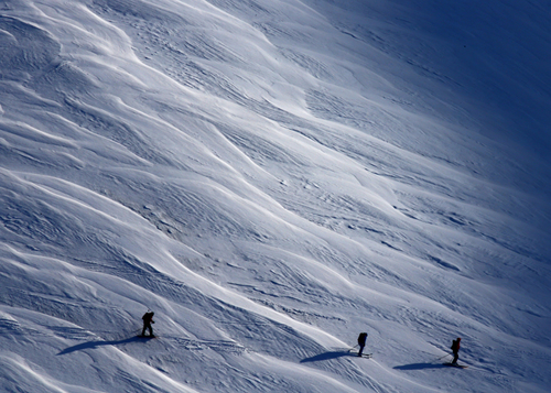 Winter Footprints