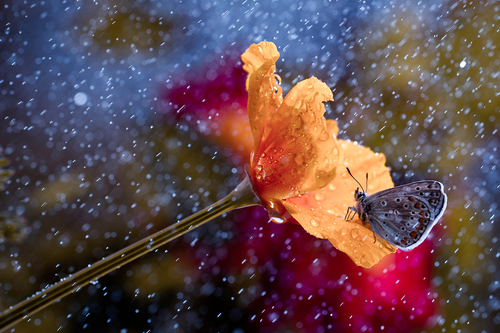 It's raining again