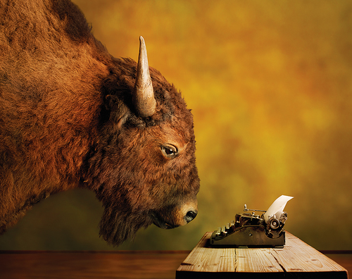 Buffalo