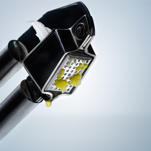 Garlic Press