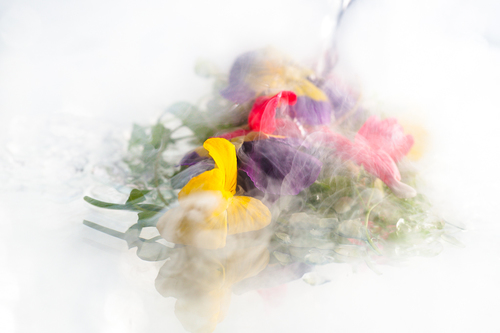 Liquid Nitrogen at Vue de Monde