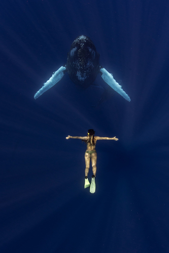 Imitation