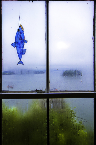 A Fish Called Wanda
