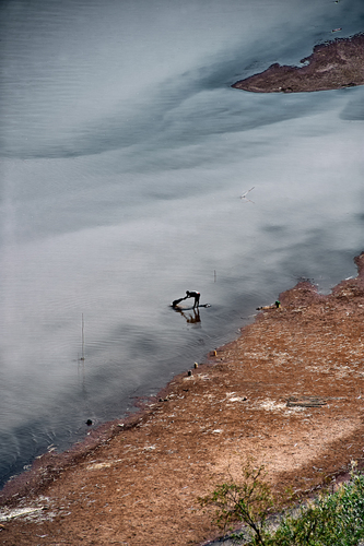 The River