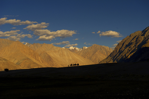 Shadows of the Silk Route