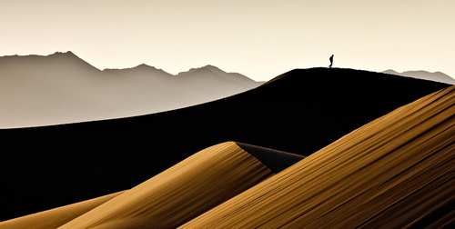 The Walker