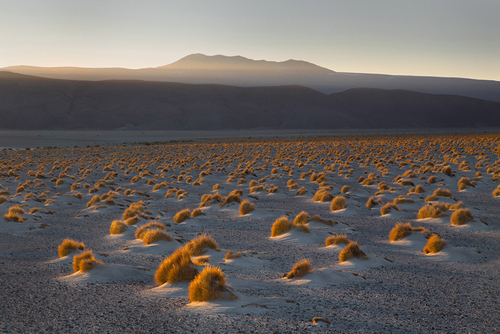 Atacama 05