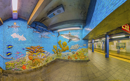 sirkis_nancy_NYC C line
