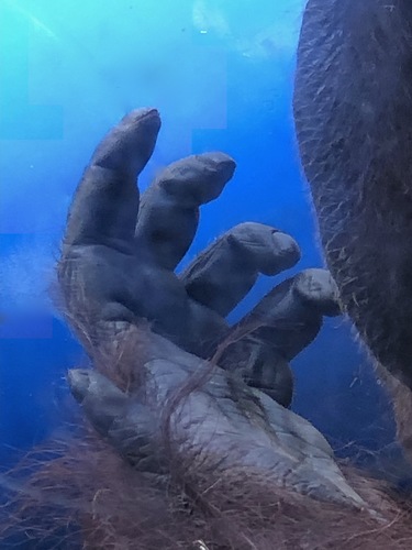 Hand of Time