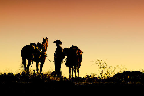 Ranch Sunset