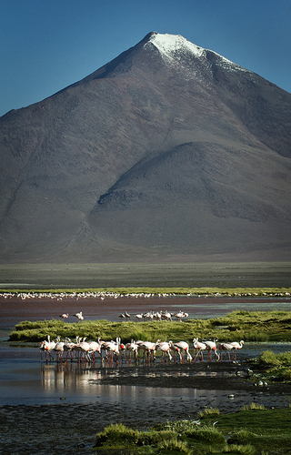 Laguna Colorada