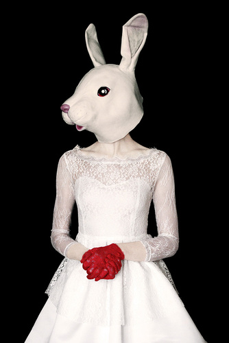 White Rabbit