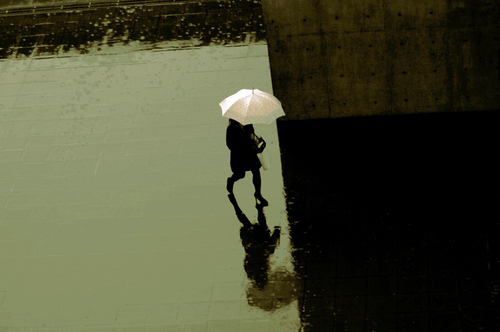 Alone in Kyoto