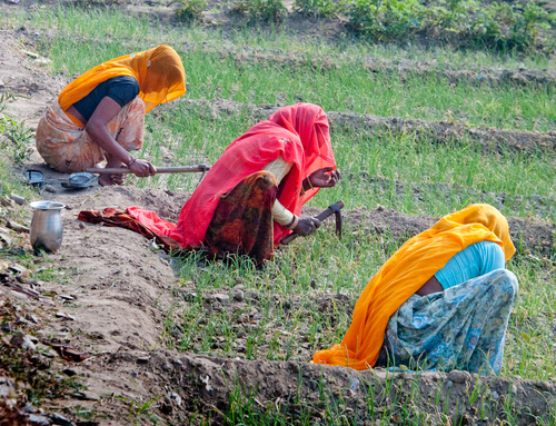 Women's Work