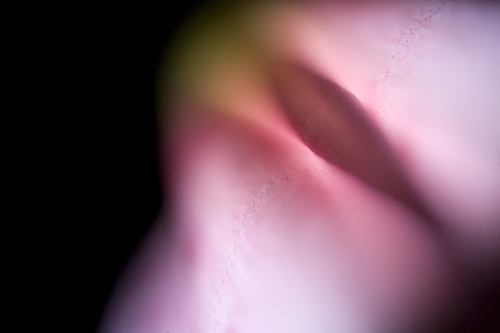 one