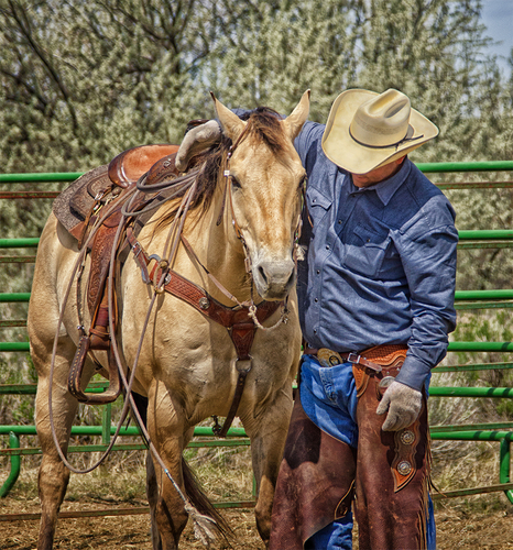 A Cowboy's Best Bud