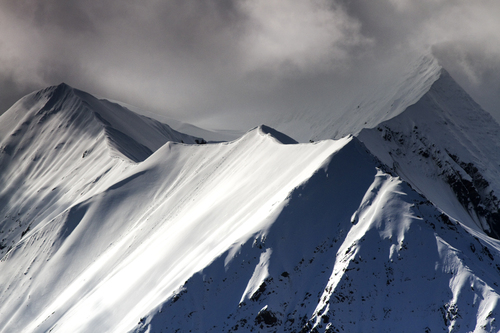 Wild Alaska