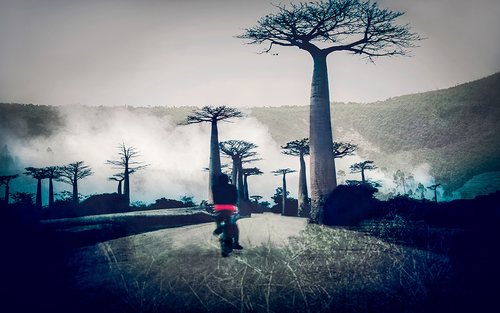 Burning Forests