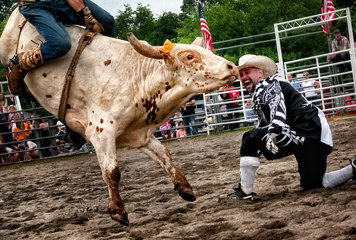 Rodeo Handler