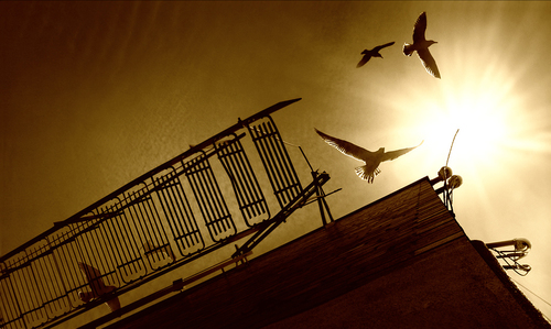 Stairway to Heaven