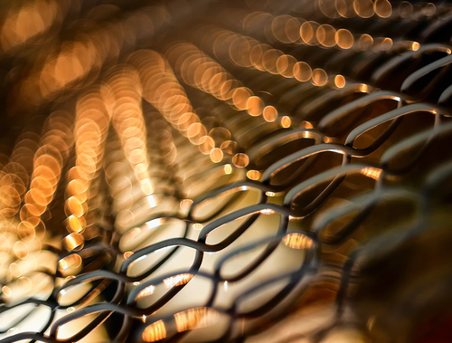 Golden Rays