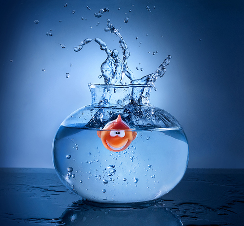 Nemo