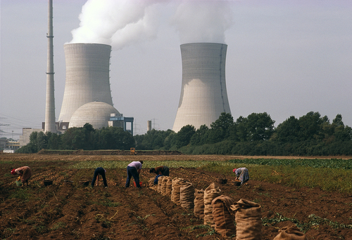 Nuclear Potato Picking 