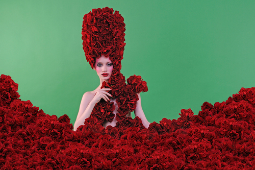 Where the Wild Roses Grow
