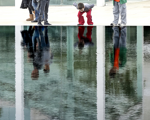 Reflection (1)