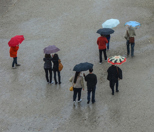 Umbrellas 2