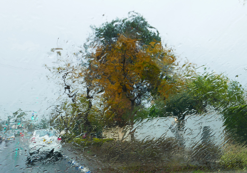 A rainy day