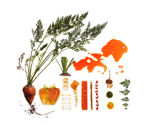Oxheart Carrot