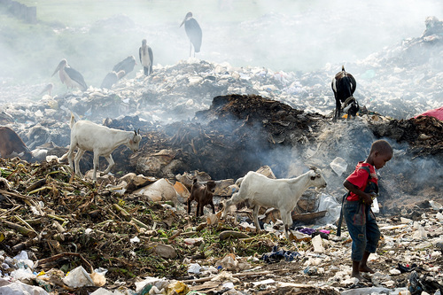 Children of the Dump