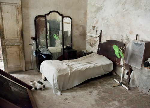 Bedroom with Cat