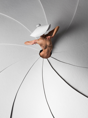 Diaphragm