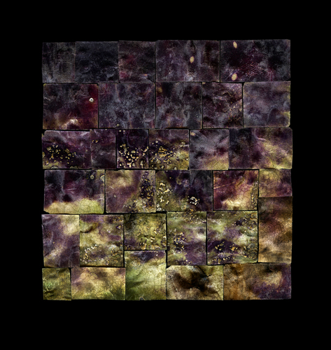 Honesty - Towards Twilight