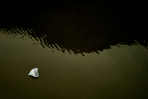A Plastic Bag