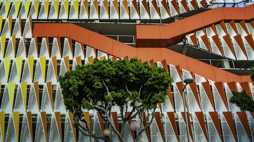 Not A Boba Tree