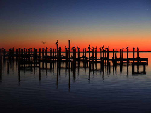 Pelican's Rest