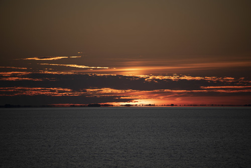 Firy sky