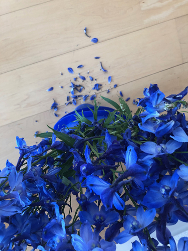 The Blues
