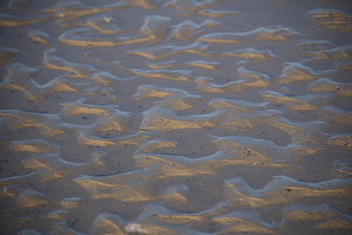 Beautiful day on the beach