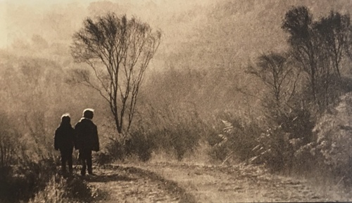 Winter Walk