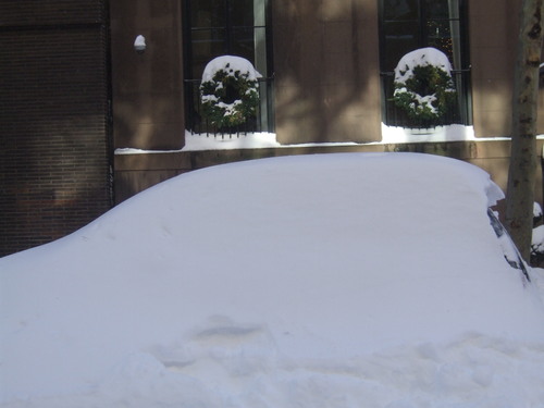 Snow Form