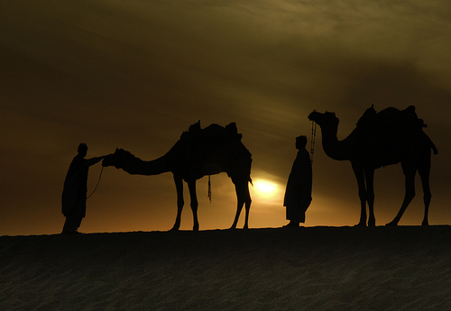 Friends at Sundown