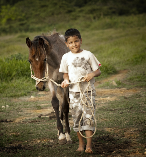 My Pony